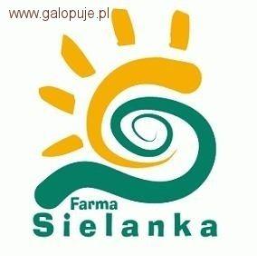Towarzyskie Zawody Szkoleniowe w skokach - Farma Sielanka