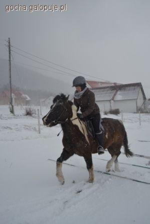 Jazda 14 stycznia 