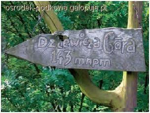 Teren na Dziewiczą Górę - zapraszamy