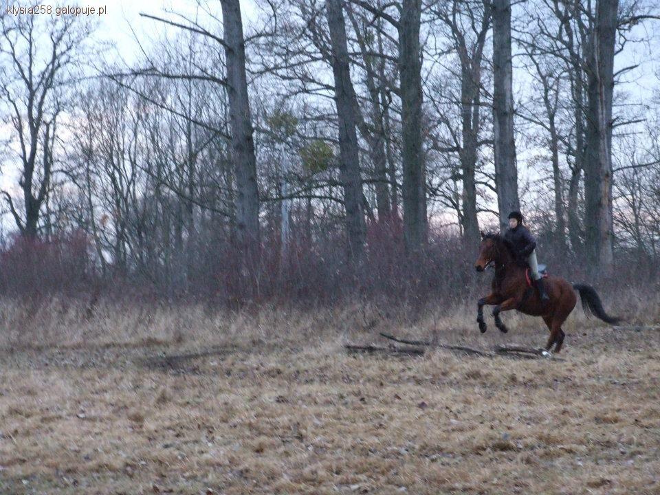 Sylwestrowa, męcząca, ale cudowna jazda