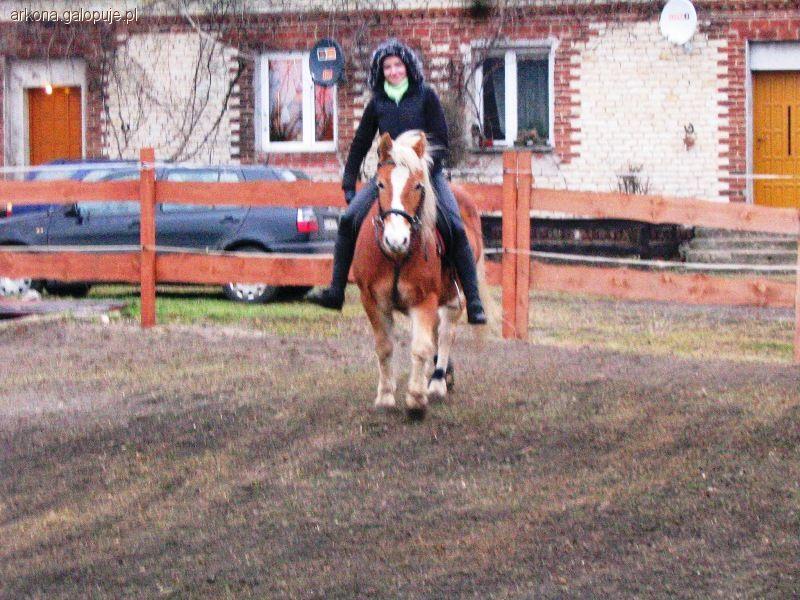 Jeździmy w święta