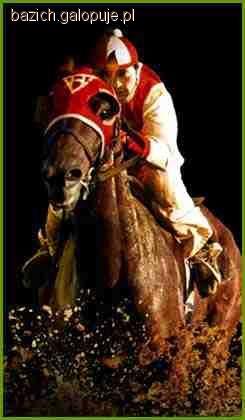 Seabiscuit