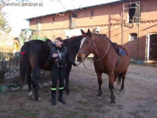Hubertus u Furmana Pod Lasem