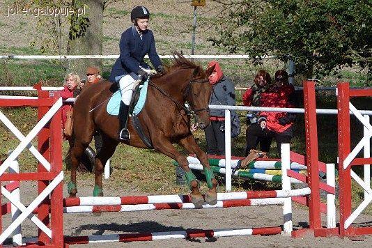 Wyniki zawodów  Działowo 2011