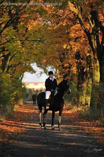 Hubertus 2011r. w LKJ Ostroga