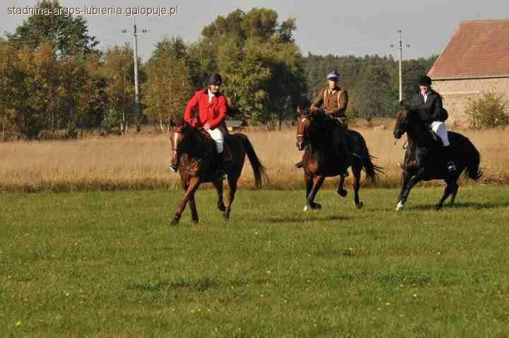 Hubertus 2011r. w Brynicy