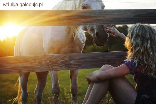 Filmy o koniach...