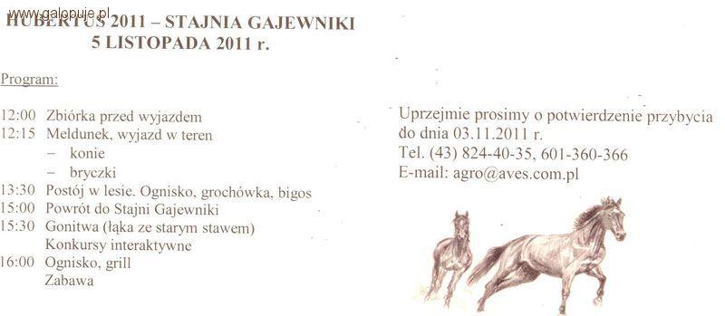 Hubertus Stajnia Gajewniki zaprasza