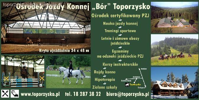 Obozy zimowe KJK Bór Toporzysko