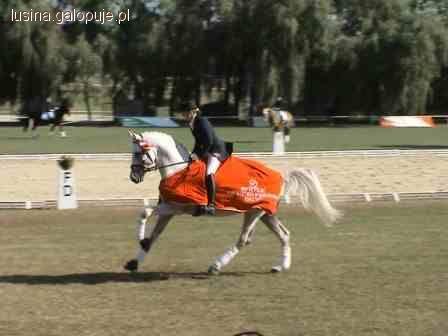Galop na prawą nogę - radzi Aleksandra Lusina