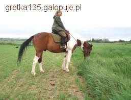 Zapoprężenie