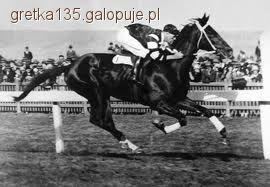 Phar Lap- niezwykły koń z Austaralii