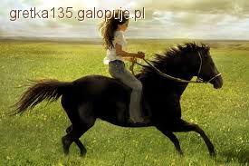 Flicka