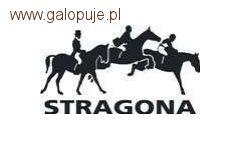 ZT-B Stragona 2011