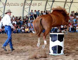 7 gier- 7 gra w przeciskanie