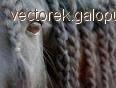 Cykl fryzur- warkoczyki...