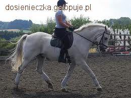 Pomoce przy przejściach do niższych chodów