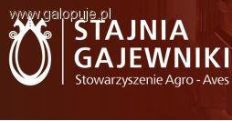 Halowe Regionalne Zawody w Skokach przez Przeszkody Stajnia Gajewniki