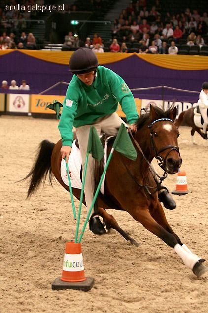 Pony games, konkurencje.