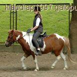 Kuc szetlandzki