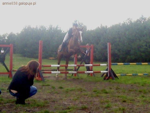 Przygotowanie do skakania parkurów