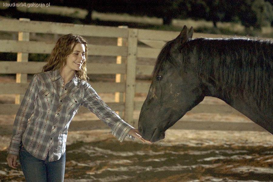 Flicka 