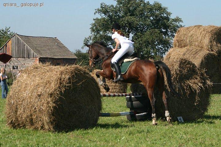 Towarzyskie zawody w skokach przez przeszkody, Belno 2011- relacja
