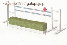 Rodzaje przeszkód