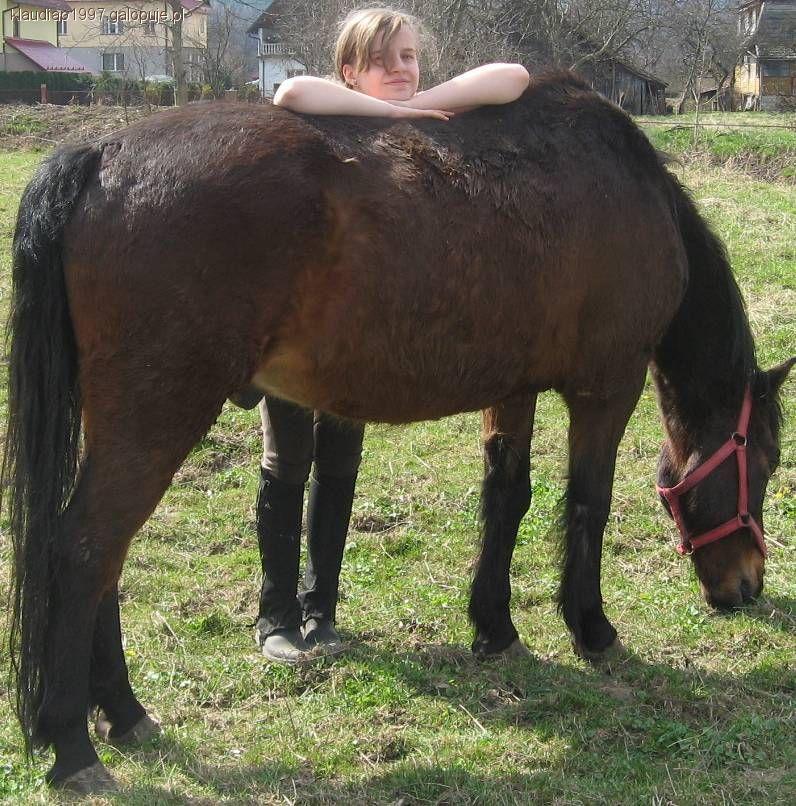 Hucuł