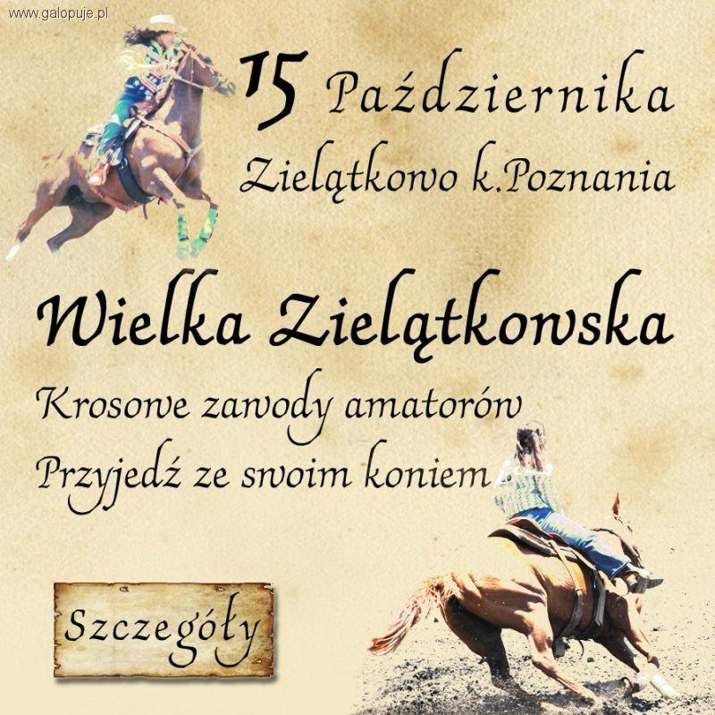 Wielka Zielątkowska Hubertus 2011 - Stajnia Patataj