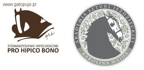 Szkolenie Jeździectwo przyjazne koniowi - Łazienki Królewskie 2011