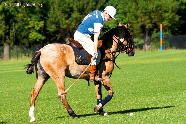 Kuc do polo