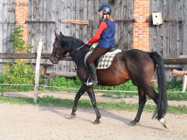 Zmiany:)