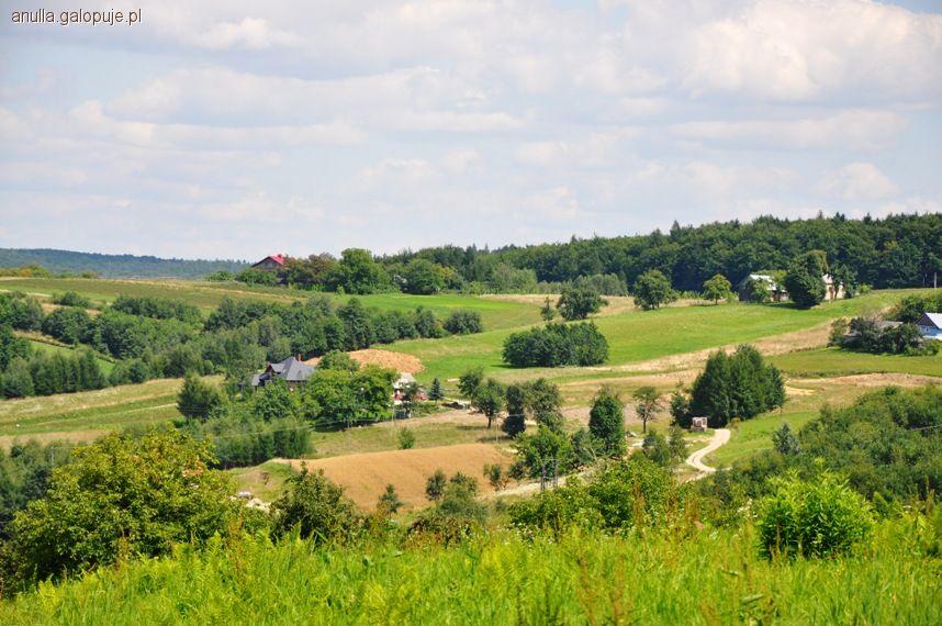 Wola Węgierska 2011