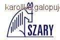 MM-A Szary