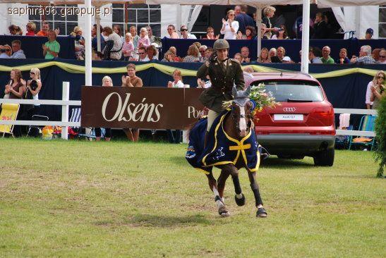 Skoki na oklep - Falsterbo Horse Show