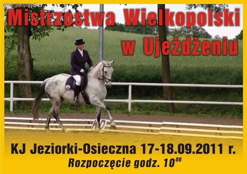 Mistrzostwa Wielkopolski w ujeżdżeniu - KJ Jeziorki
