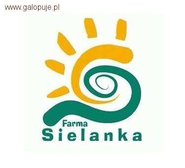 Regionalne zawody w skokach przez przeszkody Farma Sielanka