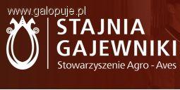Mistrzostwa Polski w zaprzęgach parokonnych  ZO D-1,D-2 Gajewniki 2011