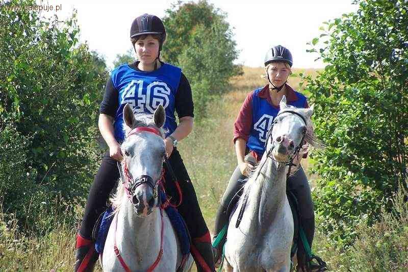 Krajowe Zawody w Sportowych Rajdach Konnych II Oficjalne Mistrzostwa Polski Młodych Koni