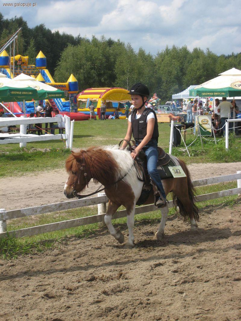 Golden Horse Cup 2011