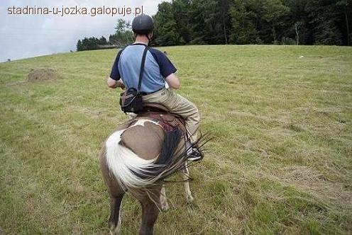 Rajdy konne w Bieszczadach