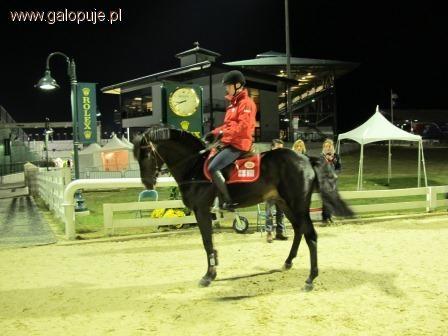 Wolny kłus i wolny galop 