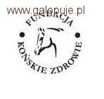 ZR-B Elbląg 2011  Fundacja Końskie Zdrowie zaprasza