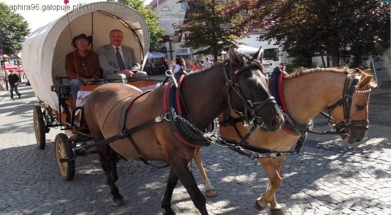 Bryczką z Katowic do Ustki