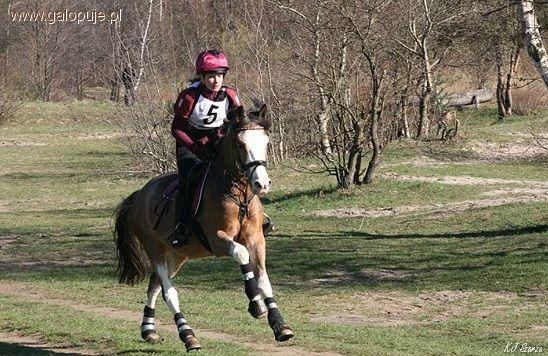 V Mistrzostwa Polski Amatorów w WKKW I Mistrzostwa Małopolski Młodzików w Konkursie Kombinowanym DER