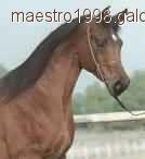 Pasja... :)))