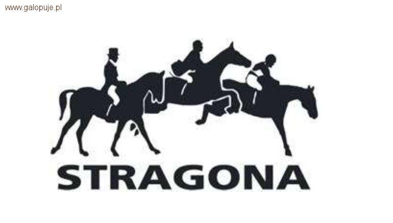 ZR-B Stragona Strzegom