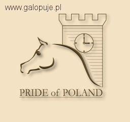 Dni Konia Arabskiego Janów 2011