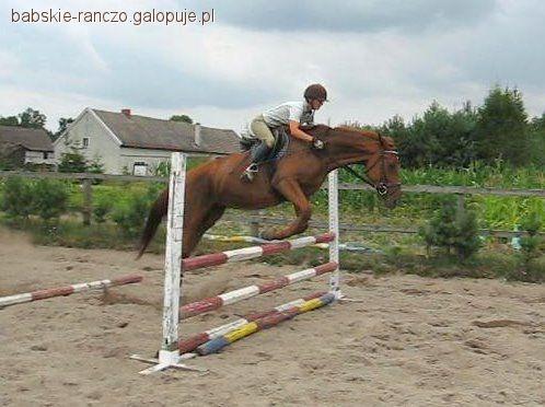 Oda rozpoczęła trening skokowy
